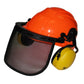 McCordick, SHD6000Q Hearing Protection Mesh Forestry Helmet