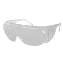 Workhorse, SEPVSCQ Safety Glasses (Visitor Spectacles)