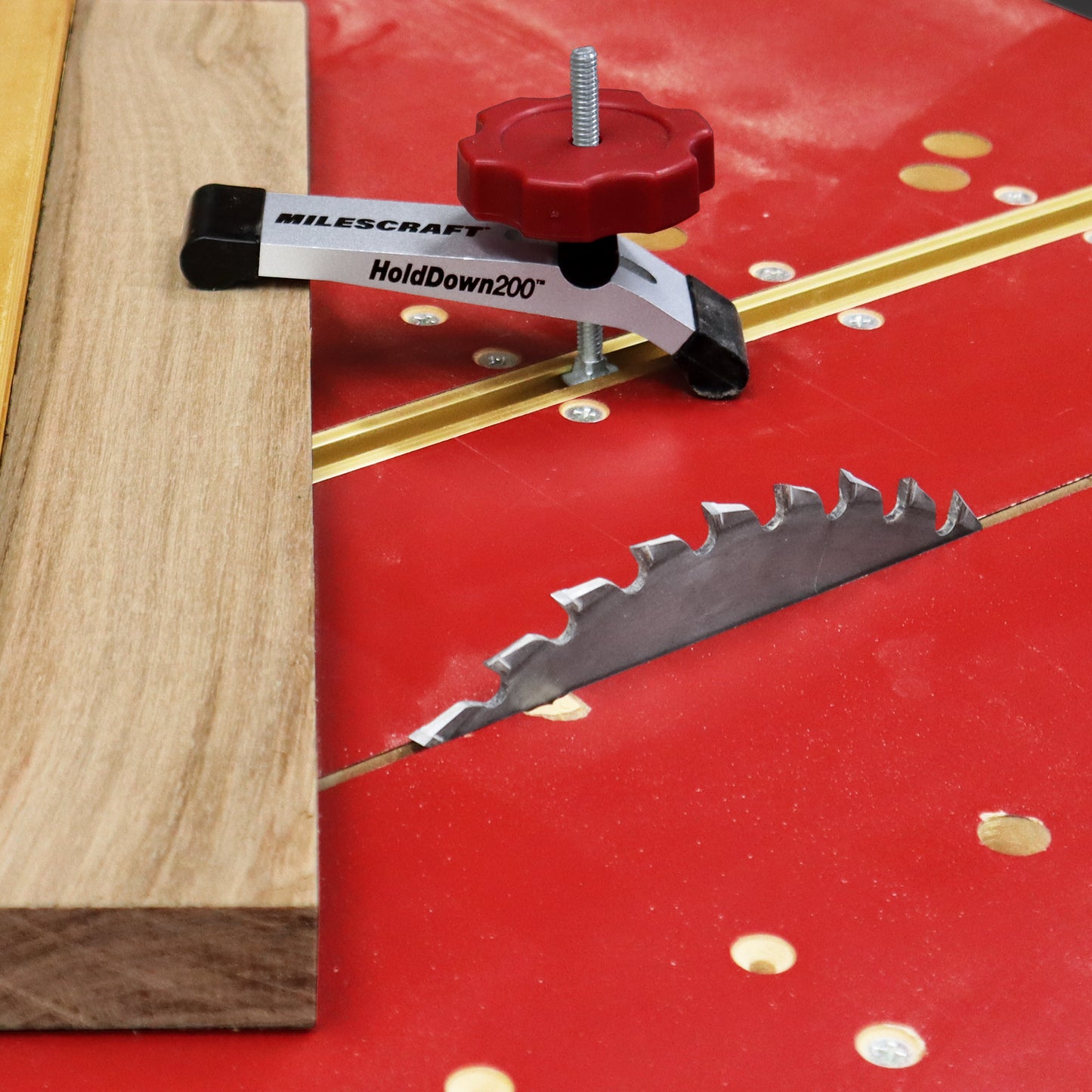 Milescraft 4036 HoldDown200™